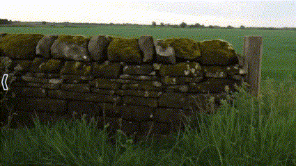 125649831.gif