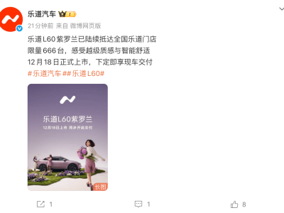 乐道L60再添新成员！紫罗兰限定版18日交付 黑骑士版同步吸睛-知创网